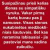 mediotojas ir zuikutis