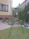 DSC00121.jpg
