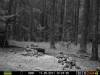 PRMS0198_80.jpg