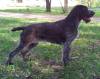 20120504_091553.jpg